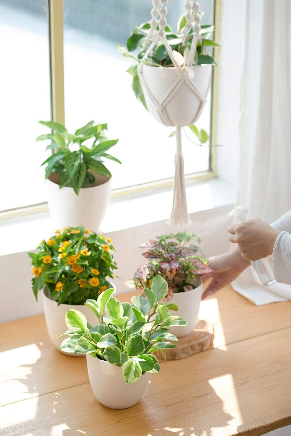 3 Pack Macrame Plant Hangers with Pots, 35"/29"/23" Indoor Different Size Hanging Planter Basket Flower Pot Holder with Saucers & Hooks No Tassels (Plastic Pots Included), Medium, Ivory